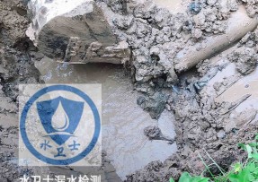镇海区水管漏水检测公司5